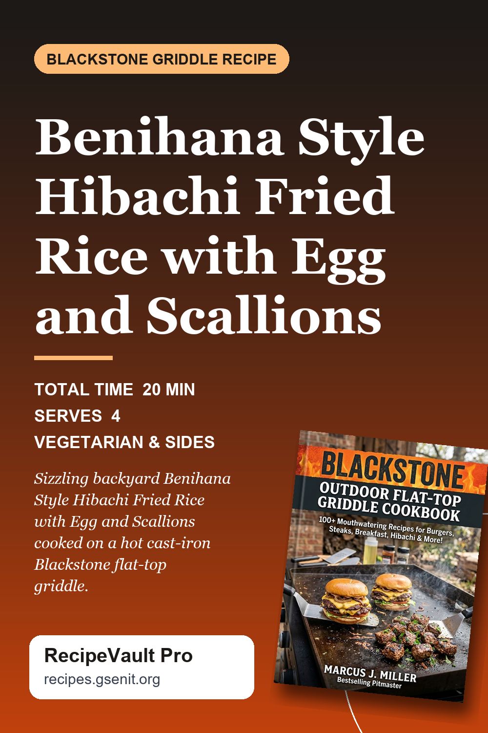 Benihana Style Hibachi Fried Rice with Egg and Scallions