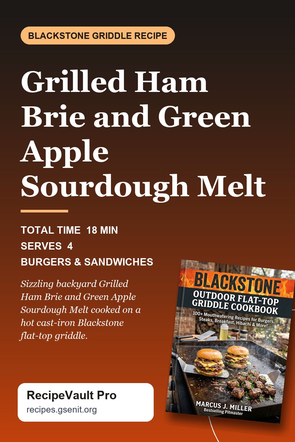 Grilled Ham Brie and Green Apple Sourdough Melt